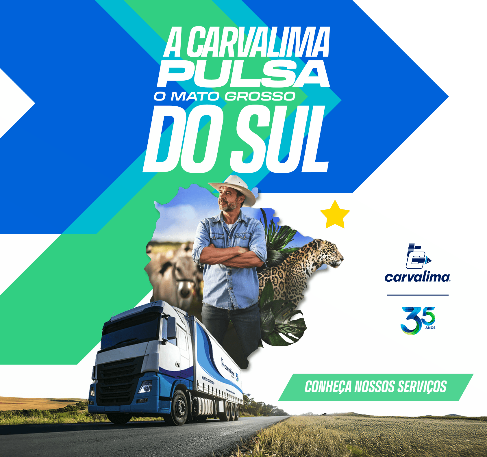 Campanha MS